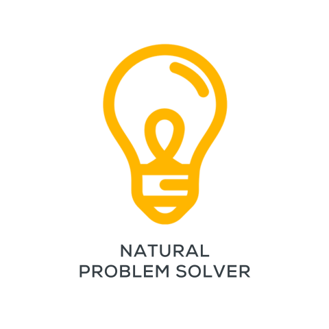 Yellow lightbulb icon symbolizing a natural problem solver.