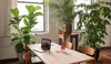 Designing for the Hybrid Workspace