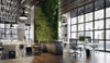 Biophilic Design in the Workspace